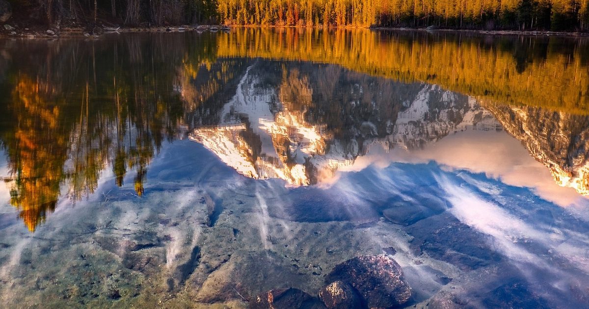 Xamgbahis güvenilir mi, kullanici yorumlari